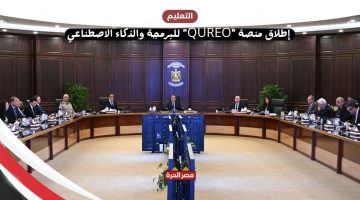 إطلاق منصة QUREO للبرمجة والذكاء الاصطناعي