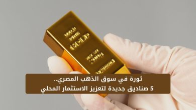 إيفولف القابضة: تطلق ثورة في سوق الذهب المصري.. 5 صناديق جديدة لتعزيز الاستثمار المحلي 4 ثورة في سوق الذهب المصري