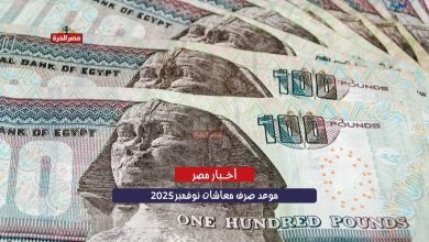 صرف معاشات نوفمبر 2025