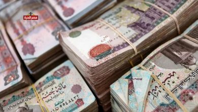 موعد صرف معاشات نوفمبر بعد الزيادة السنوية وخلوها من أي زيادات استثنائية 4 موعد صرف معاشات نوفمبر