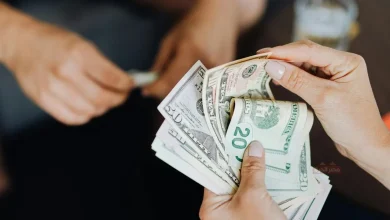 استقرار الدولار اليوم: سعر الأخضر مقابل الجنيه في البنوك الآن 2 سعر الدولار اليوم مقابل الجنية المصري في البنوك