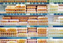 سعر كرتونة البيض اليوم الأحد 10 نوفمبر 2025.. استقرار بعد موجة ارتفاع الأسبوع الماضي 2 سعر كرتونة البيض اليوم الأحد 10 نوفمبر