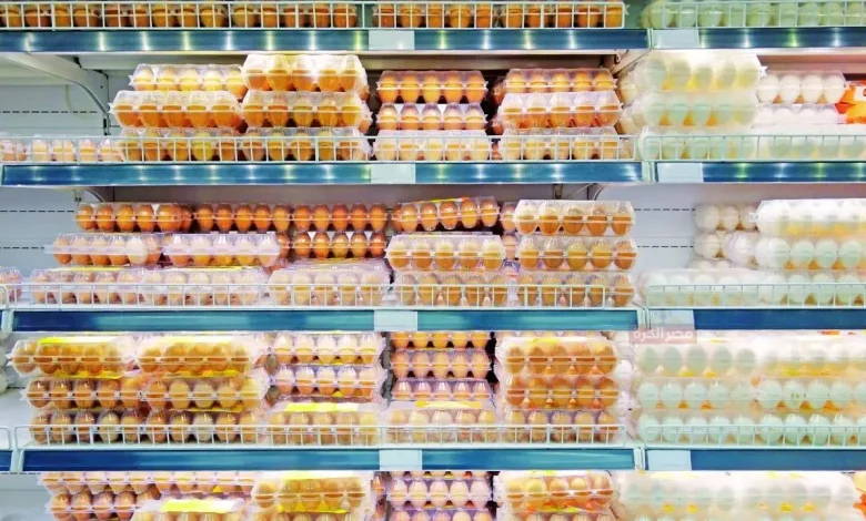 سعر كرتونة البيض اليوم الأحد 10 نوفمبر