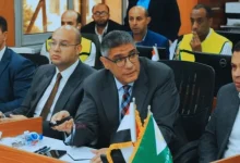 محافظ الجيزة يتابع انتظام اللجان الانتخابية