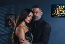مواعيد عرض مسلسل ورد وشوكولاتة 2025 على منصة يانغو بلاي 3 مواعيد عرض مسلسل ورد وشوكولاتة