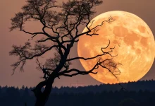 القمر العملاق الأخير