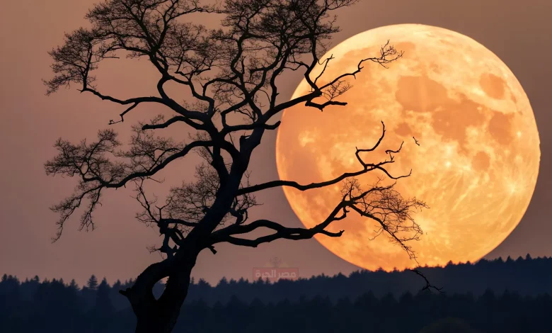 القمر العملاق الأخير