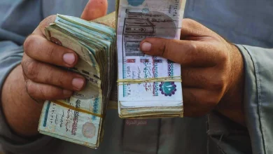 زيادة المعاشات