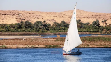 طقس اليوم في مصر.. انخفاض ملحوظ في الحرارة وأمطار خفيفة على بعض المناطق